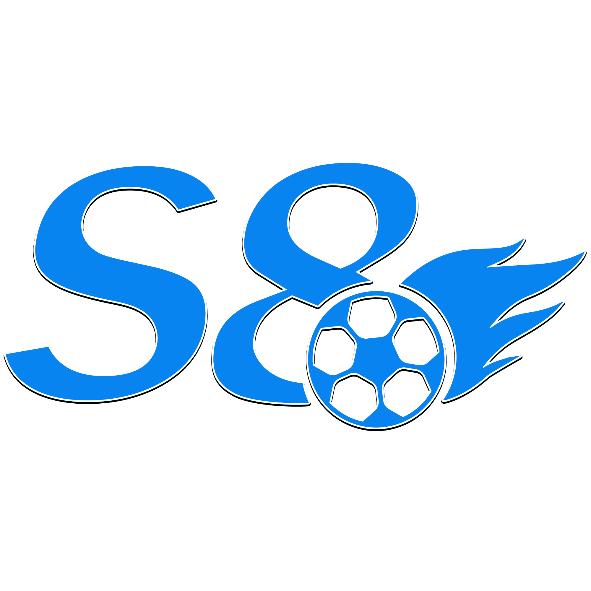 S8