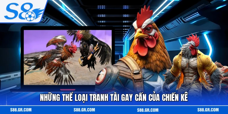 Những thể loại tranh tài gay cấn của chiến kê
