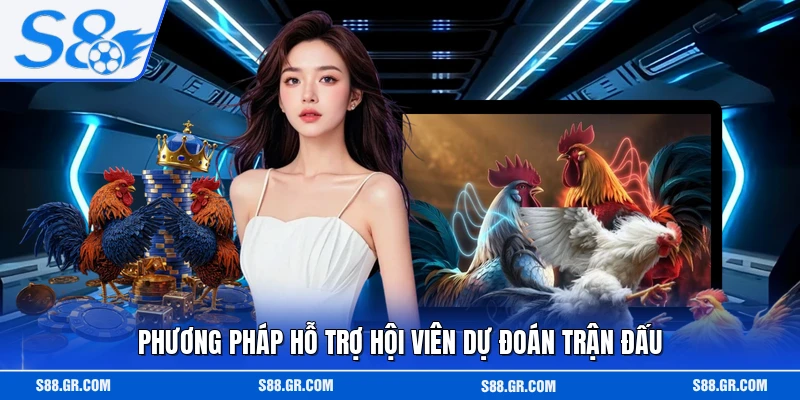 Phương pháp hỗ trợ hội viên dự đoán trận đấu