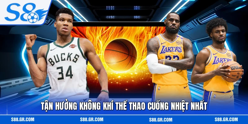Tận hưởng không khí thể thao cuồng nhiệt nhất